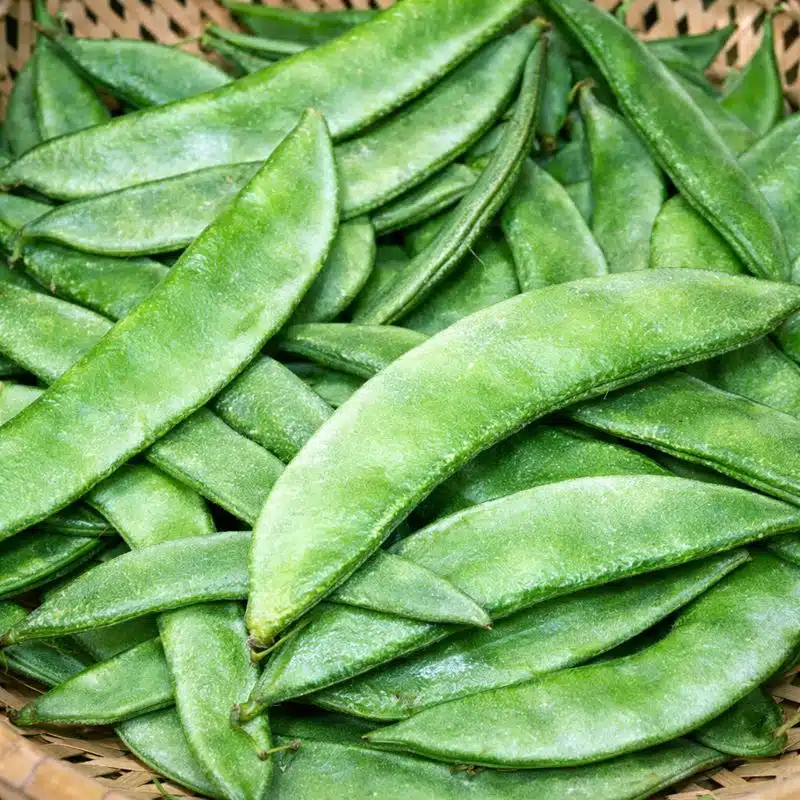 Fresh Lablab Beans / फली / પાપડી (વાલ) – Tender, Green & Farm Fresh