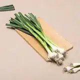 Fresh Green Garlic / हरा लहसुन / લીલો લસણ – Farm Fresh & Aromatic